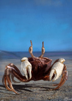 A portrait of a crab in a desert landscape impessionitic style digital painting artwork by james olley 